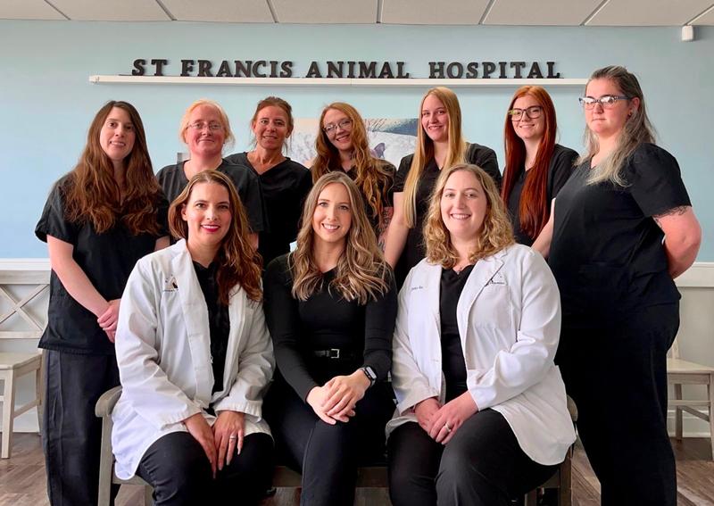 St. Francis Animal Hospital North Huntingdon veterinary hospital